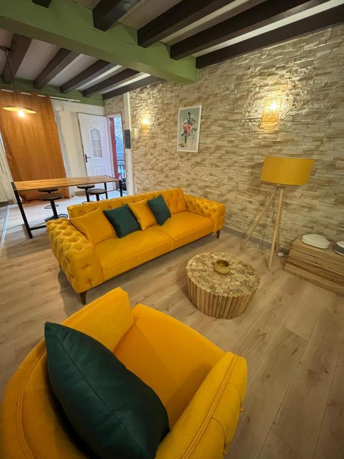 Appart Hotel Le 8 Le Duplex Mâcon Kültér fotó
