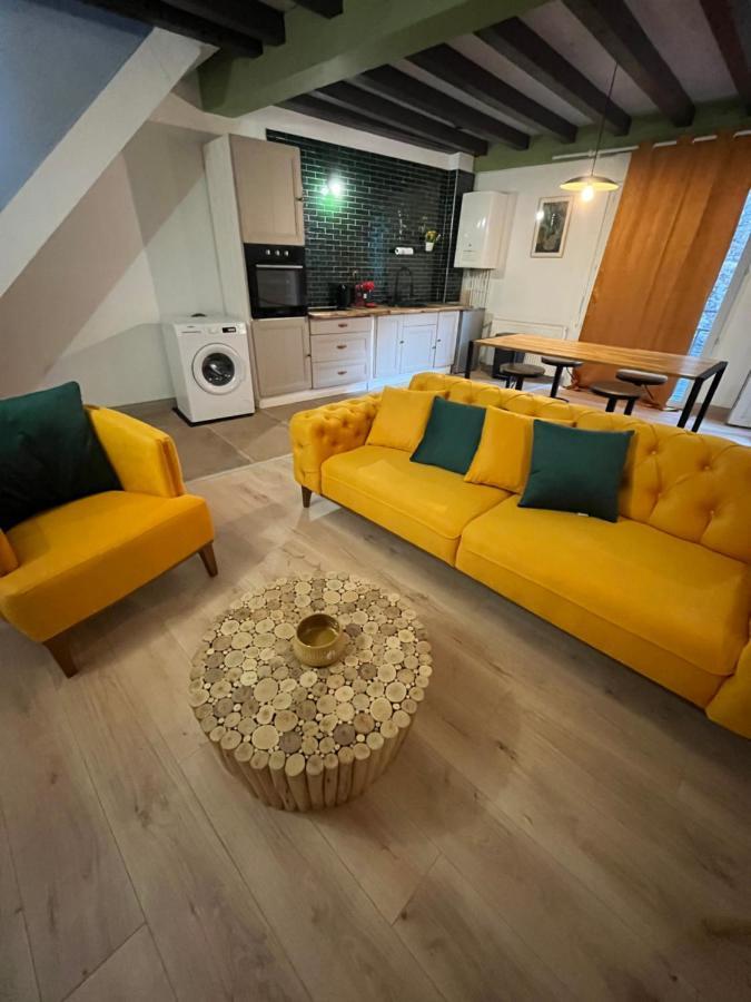 Appart Hotel Le 8 Le Duplex Mâcon Kültér fotó